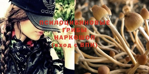 герыч Алексин
